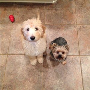 Meet your Posher, Cindy